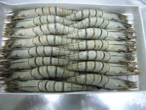 Hướng Dẫn Cấp Đông Hải Sản ảnh